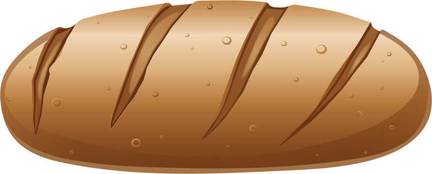 Freshly baked bread loaf vector illustration