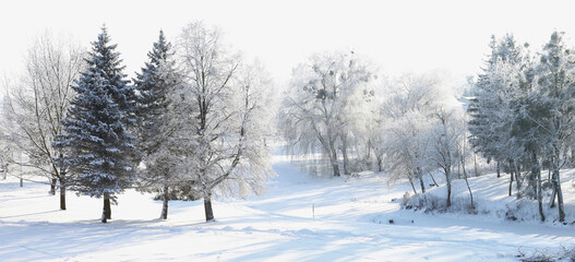 Snow covered winter landscape with frosted bare trees near pond. Winter deciduous trees in snow and frozen pond.