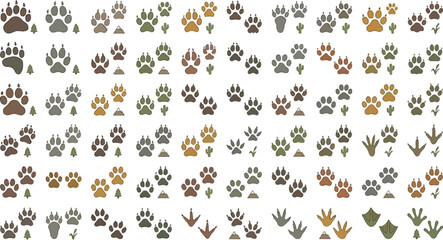 Large assortment of animal paw prints and bird footprints are arranged in a grid.