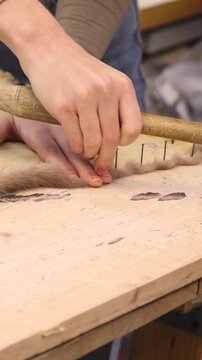 Professional furrier or skinner uses special nails and a wooden mallet to fix a sable pelt onto a wooden stretching table showing the leather side or underside of the skin