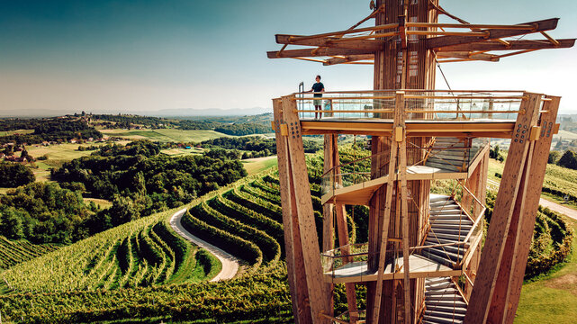 Aerial view of a modern wooden observation tower rising high above the undulating green vineyards, bathed in warm sunlight, Robadje, Medimurska zupanija, Croatia.