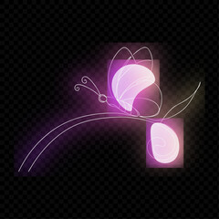 Bright Butterfly Design Element