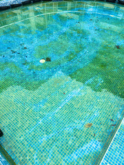 Water in an empty swimming pool near a sports facility showing green tiles and debris scattered on the surface during daytime