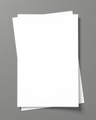 Clean official document mockup on gray background, professional presentation