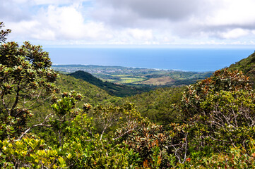 Scenic elevated view from Alexandra Falls over lush tropical forests to the southern coast of Mauritius