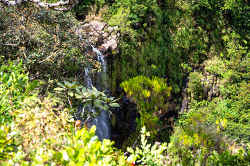 Close-up of Alexandra Falls waterfall plunging down a lush green cliff in Mauritius