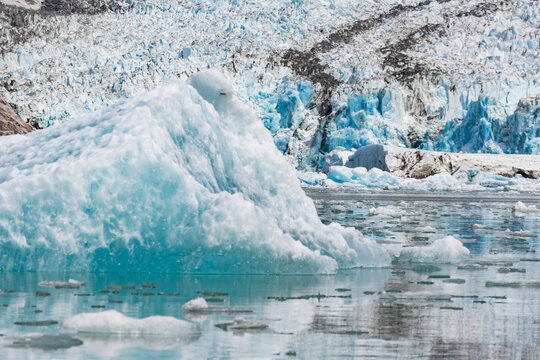 Blue Glacial Ice and Icebergs in Southeast Alaska Inside Passage