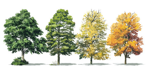 A beautiful illustration of trees in various stages of autumn foliage © DARK TRUST