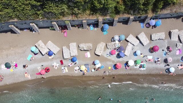 Ombelico di Venere - Trabia - Sicilia
