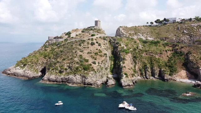 Ombelico di Venere - Trabia - Sicilia