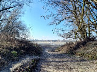dried riverbed at the end of winter