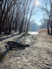 log bridge over the stream
