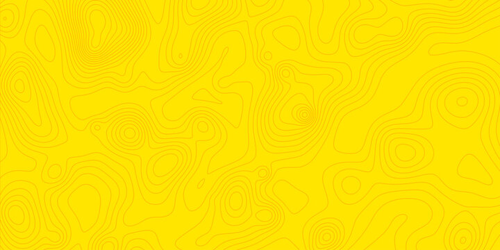 Motif de courbes topographiques grises pour habillage graphique et d&eacute;coration moderne en relief lin&eacute;aire