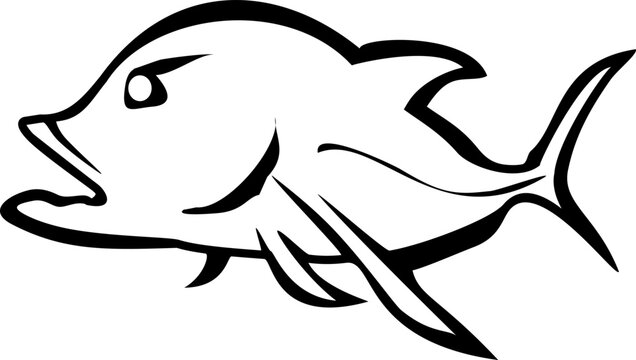 vector illustration of saltwater fish with black lines and white background