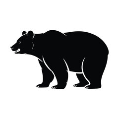 Fototapeta premium Black bear standing on all fours with transparent background wildlife animal mammal d