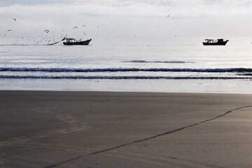 Two fishing boats off the southern coast of S&atilde;o Paulo; it's a cloudy morning and birds fly around one of the boats