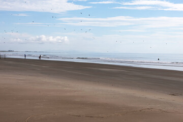Coastal landscape with a long stretch of sand on the beach, people coming out of the sea and others playing in the water, many birds flying over the sea, the sky is clear blue with clouds