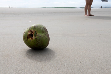 A green coconut, already punctured, lies on the compacted sand of a beach; in the background, to the right, one can see a person's legs, and in the third plane, the sea