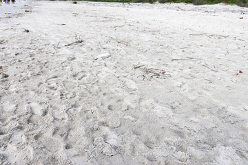 Soft beach sand full of footprints; in the upper left corner of the image, the legs of people walking can be seen in the distance