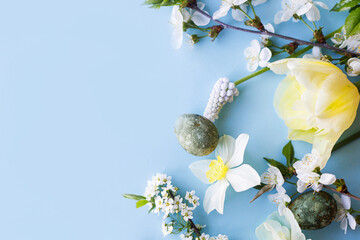 Easter flat lay. Stylish easter eggs, daffodils, tulip and cherry flowers on blue background. Easter celebration, season greetings mockup. Spring modern floral banner © sonyachny