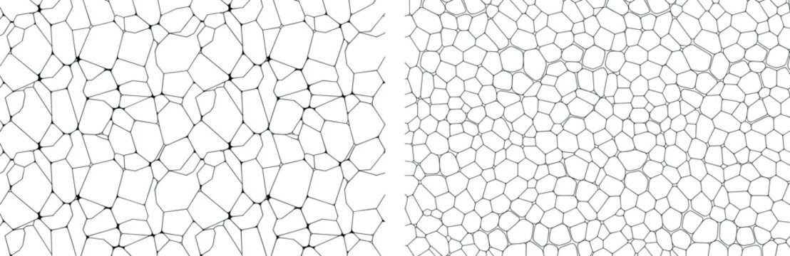 Polygon, tiling, Voronoi, cellular, structure, geometry, tessellation, abstract, pattern, design, vector, illustration, graphic, layout, minimal, stylized, texture, science, shape, background