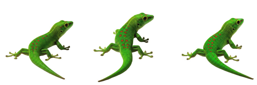 Set of Three Vibrant Green Madagascar Day Geckos with Red Spots &ndash; Oil Paint Style PNG, Perfect for Wildlife