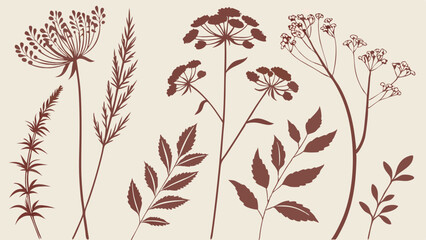 Elegant Botanical Line Art Set Wildflowers Herbs for Rustic Wedding Invitations Branding Packaging Design