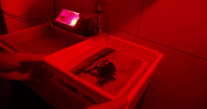 Analog photo printing process in darkroom for educational and professional use. Manual photographic workflow under safelight