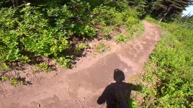 POV view of downhill mountain bikes crashing on a sunny day in the forest then gets up and keeps riding