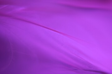 Fototapeta premium Macro photo feathers colored artistic bohemian style cozy boho aesthetic background close up 