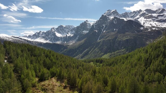 Aerial view of the vibrant green forest contrasting with the snow-capped peaks under a bright sky, Alpe Devero, Piemonte, Italy.