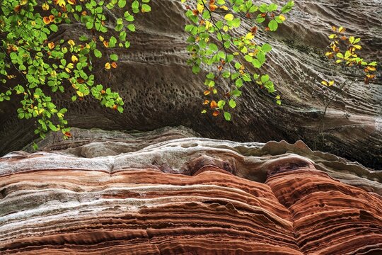 Eroded red sandstone, old castle rock, close-up, natural and cultural monument, Brechenberg near Eppenbrunn, Palatinate Forest, Rhineland-Palatinate, Germany