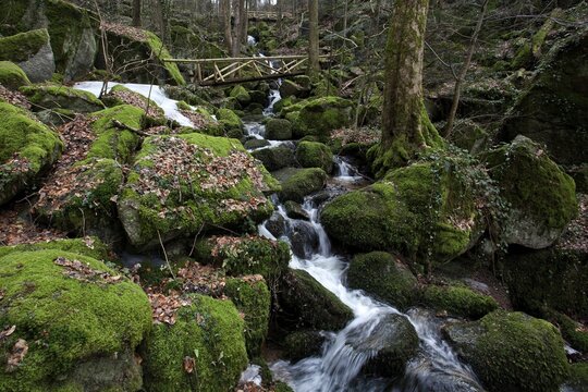 Moss-covered rocks, waterfalls, wooden bridge, Geish&ouml;ll waterfalls, In der Geish&ouml;ll, near Sasbachwalden, Black Forest, Baden-W&uuml;rttemberg, Germany