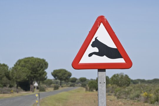Warning sign lynx change, Coto de Donana, Andalusia, Spain