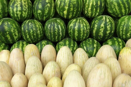 Fruit stall with watermelons, Kochkor market, Kyrgyzstan