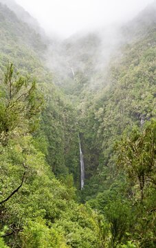 Waterfall in the jungle, Levada do Caldeir&atilde;o Verde, Madeira, Portugal