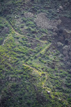 Serpentines of a path on a steep slope, near Calhau das Achadas, Madeira, Portugal
