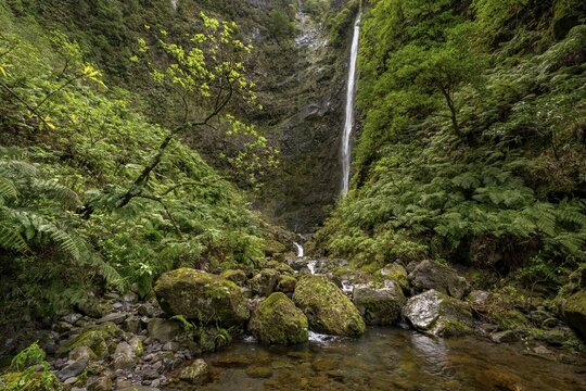 Waterfall on a steep rock face in the Caldeir&atilde;o Verde, Levada do Caldeir&atilde;o Verde, Parque Florestal das Queimadas, Madeira, Portugal