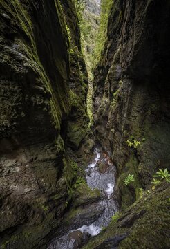 Narrow gorge of the Ribeira Grande, Levada do Caldeir&atilde;o do Inferno, Parque Florestal das Queimadas, Madeira, Portugal