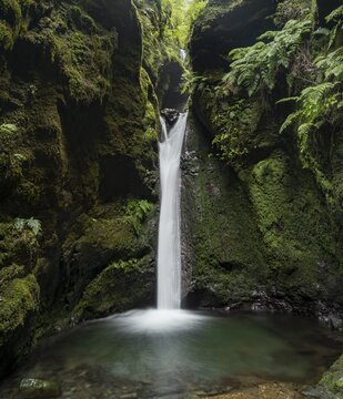 Waterfall in a narrow gorge overgrown with moss and ferns, Levada do Caldeir&atilde;o do Inferno, Parque Florestal das Queimadas, Madeira, Portugal