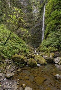 Waterfall on a steep rock face in the Caldeir&atilde;o Verde, Levada do Caldeir&atilde;o Verde, Parque Florestal das Queimadas, Madeira, Portugal