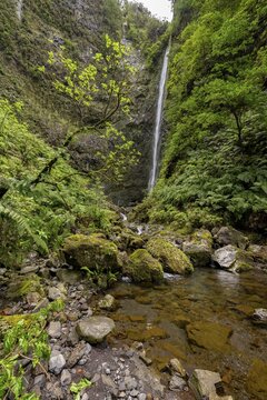 Waterfall on a steep cliff in the Caldeir&atilde;o Verde, Levada do Caldeir&atilde;o Verde, Parque Florestal das Queimadas, Madeira, Portugal