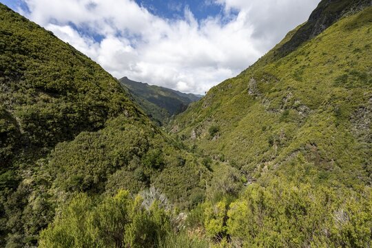 Wooded mountains, view from the hiking trail at Levada das 25 Fontes, Rabacal, Madeira, Portugal