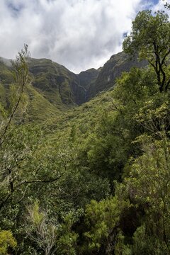 Wooded mountains with waterfall, Risco waterfall, view from the hiking trail at Levada das 25 Fontes, Rabacal, Madeira, Portugal