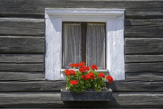 Window with flowers on an old wooden house in, Rabstejn nad Strelou, Plzeňsk&yacute; kraj, Czech Republic