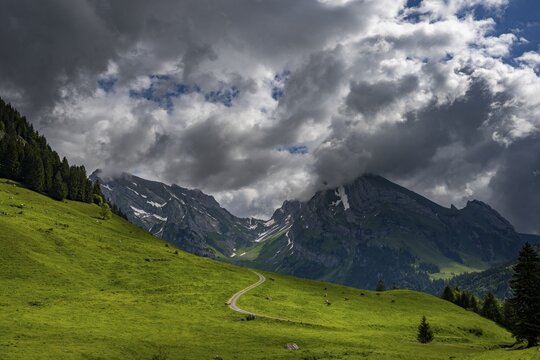 Mountain meadow with path and Altmann summit in the background, Wildhaus, Appenzell, Switzerland