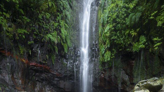 Waterfall between rock face overgrown with ferns, waterfall 25 Fontes, hiking trail PR6 Levada das 25 fontes, Raba&ccedil;al, Madeira, Portugal