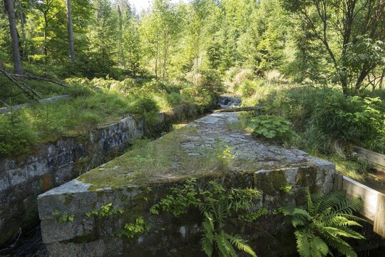 Schwarzenberg alluvial canal, Nova Pec, Jihočesk&yacute; kraj, Czech Republic