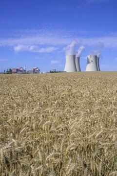 Grain field and cooling towers of the nuclear power plant, Temel&iacute;n, Jihočesk&yacute; kraj, Czech Republic