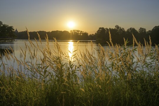 Sunset at Hejtman Pond, Chlum u Třeboně, Jihočesk&yacute; kraj, Czech Republic